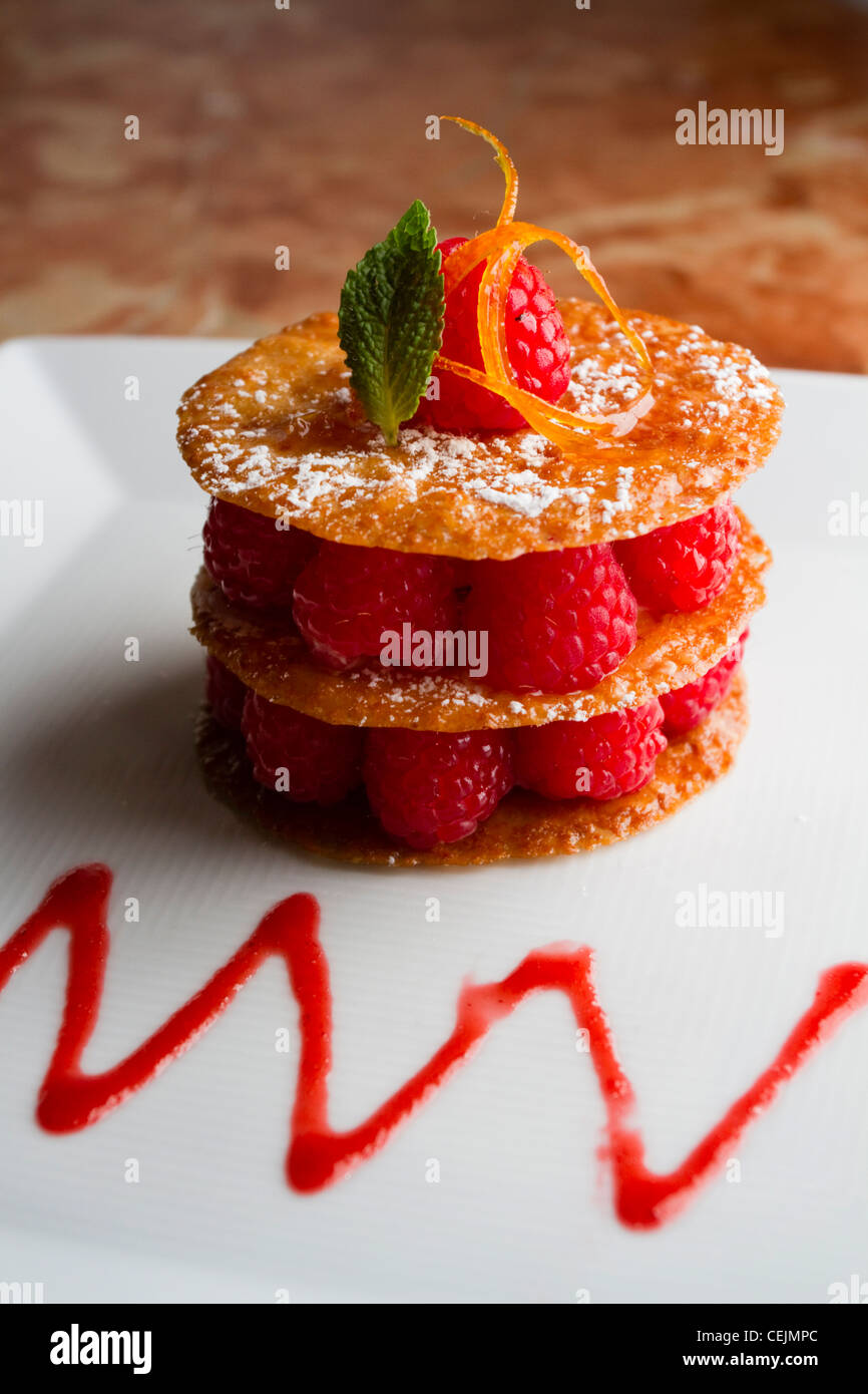 A berry dessert. Stock Photo