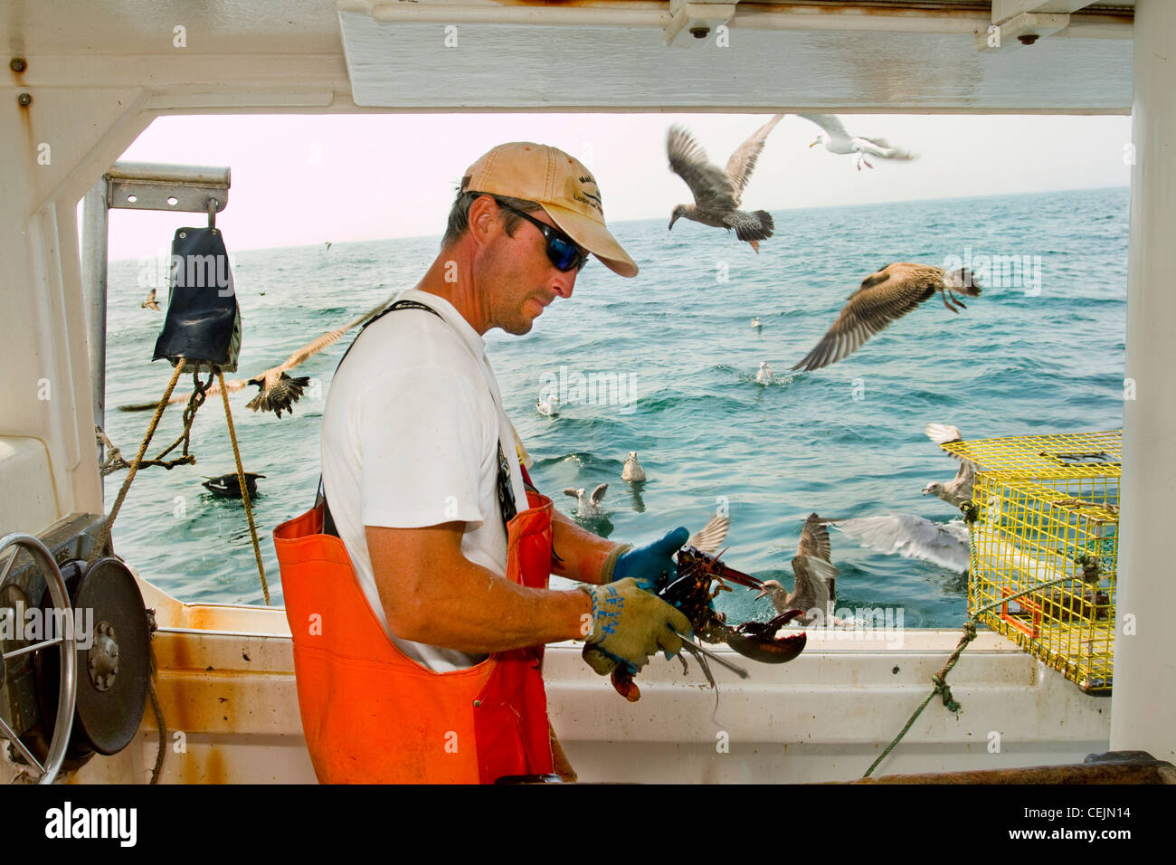 Coastal life in Maine Stock Photo Alamy