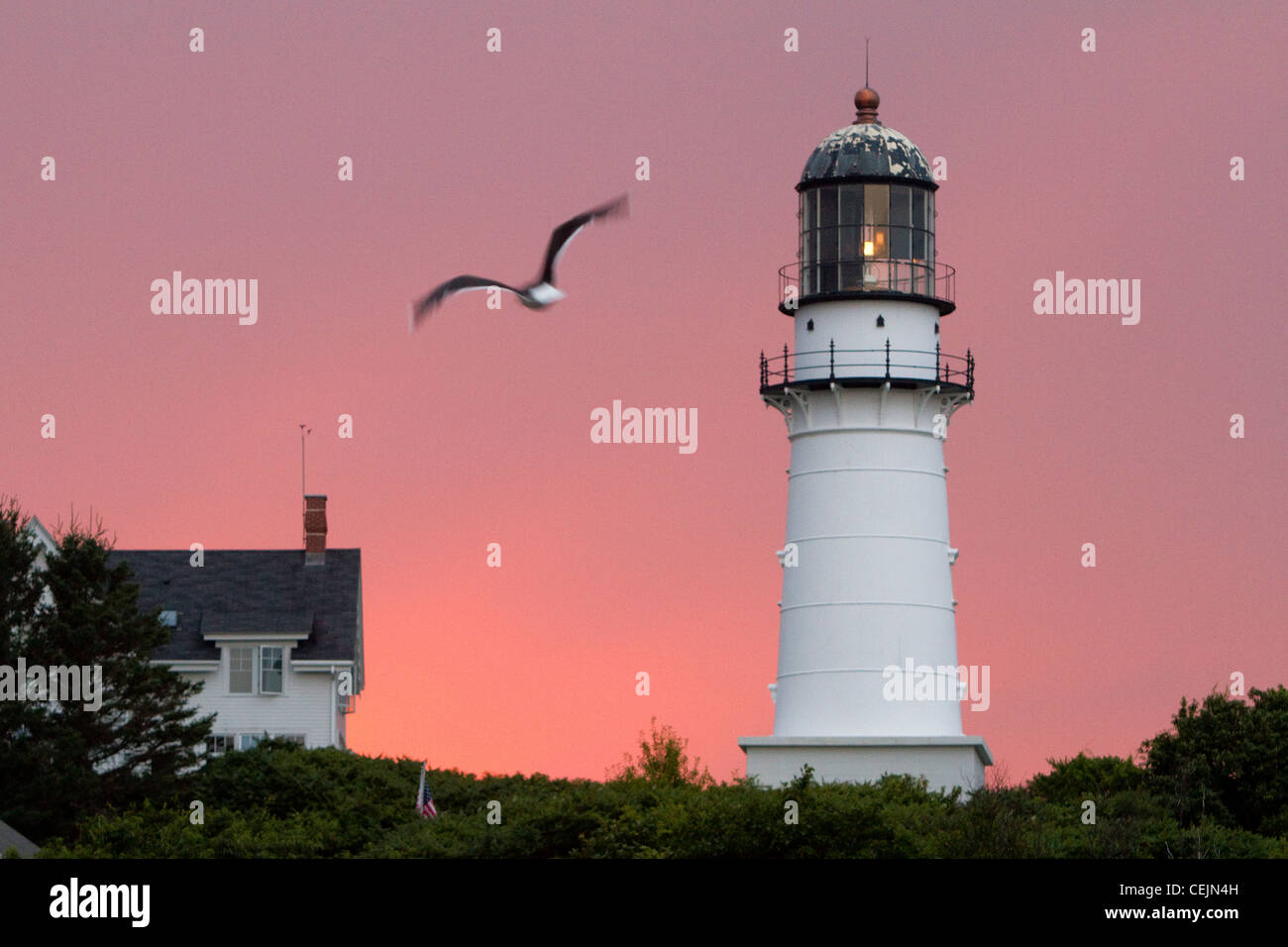 Coastal life in Maine Stock Photo Alamy