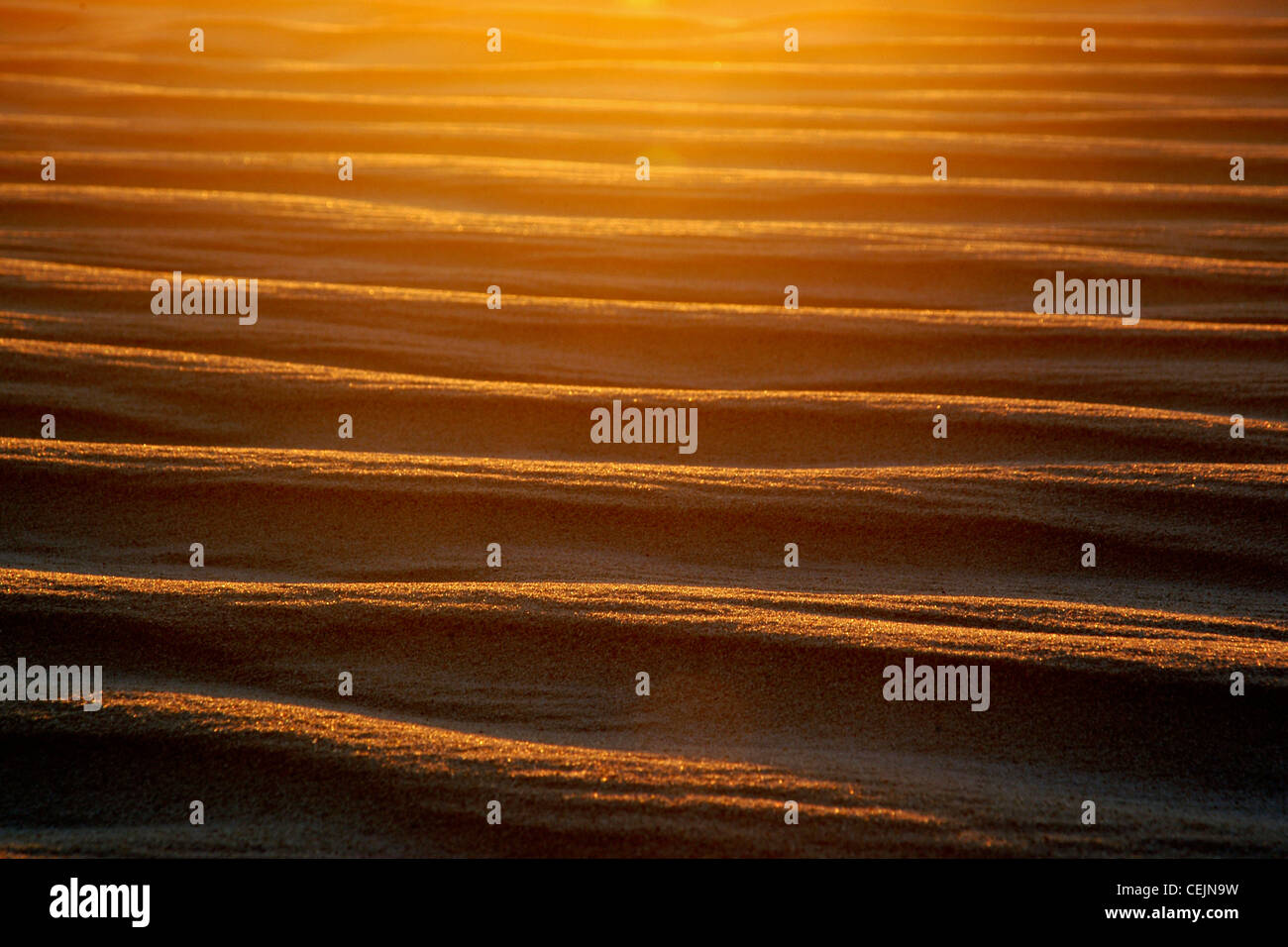 Waves of sand  glowing in the light of the setting sun, like the surface of the sea. Stock Photo