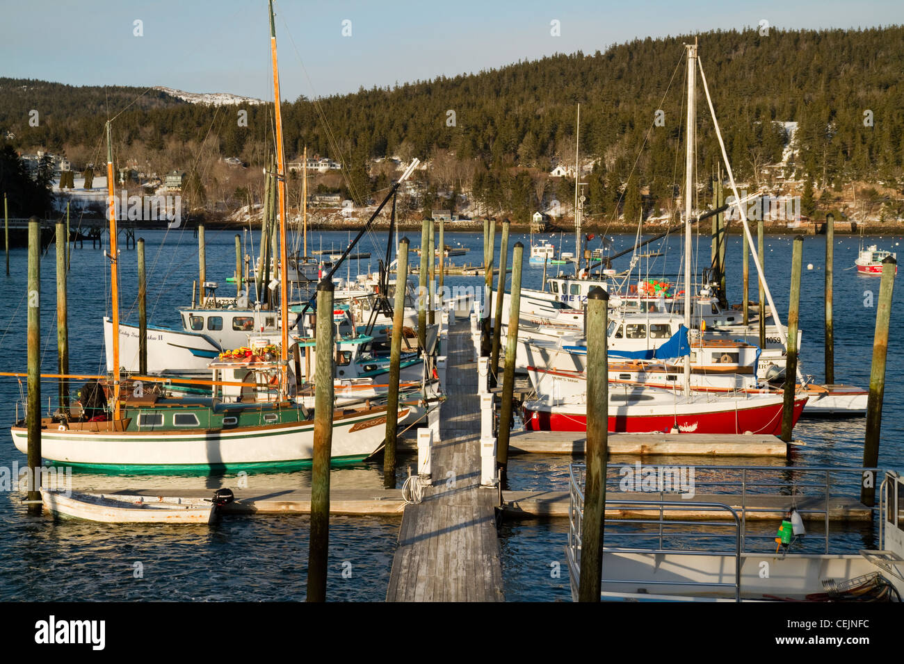 Coastal life in Maine Stock Photo Alamy