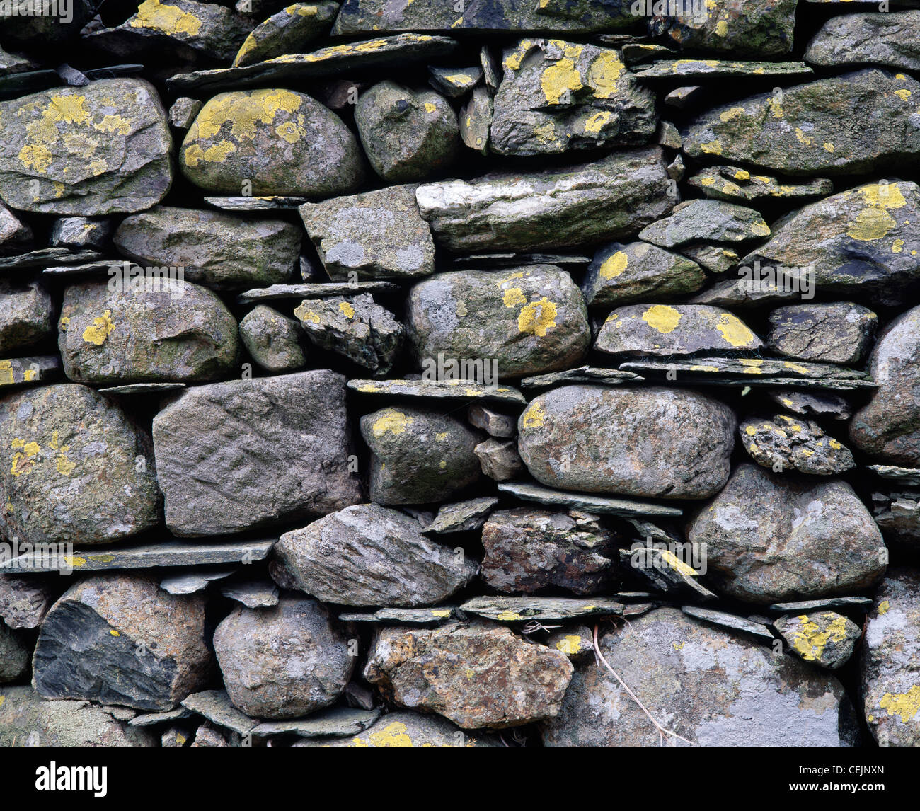 Drystone wall close-up. Newlands valley, Cumbria, England, UK. In the Lake District National park. Stock Photo