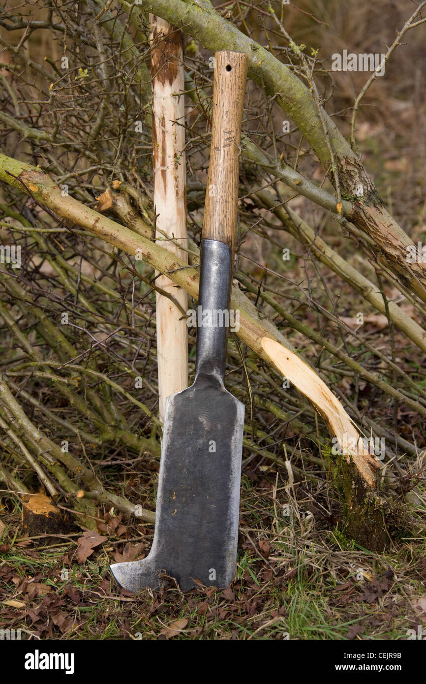 A billhook used for hedge laying Stock Photo
