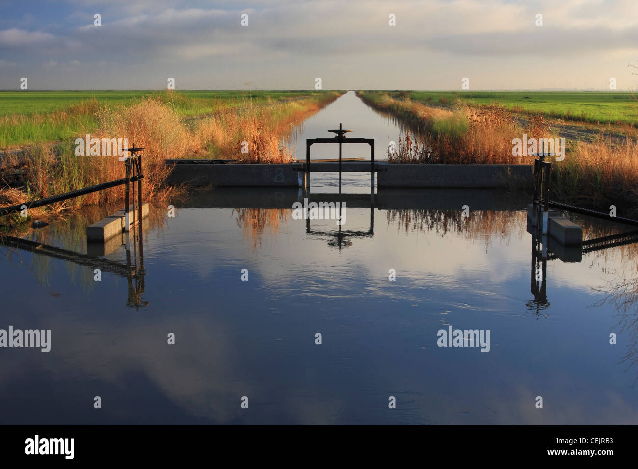 Agriculture - Irrigation canal with a check gate passing through rice fields / near Knights Landing, California, USA. Stock Photo