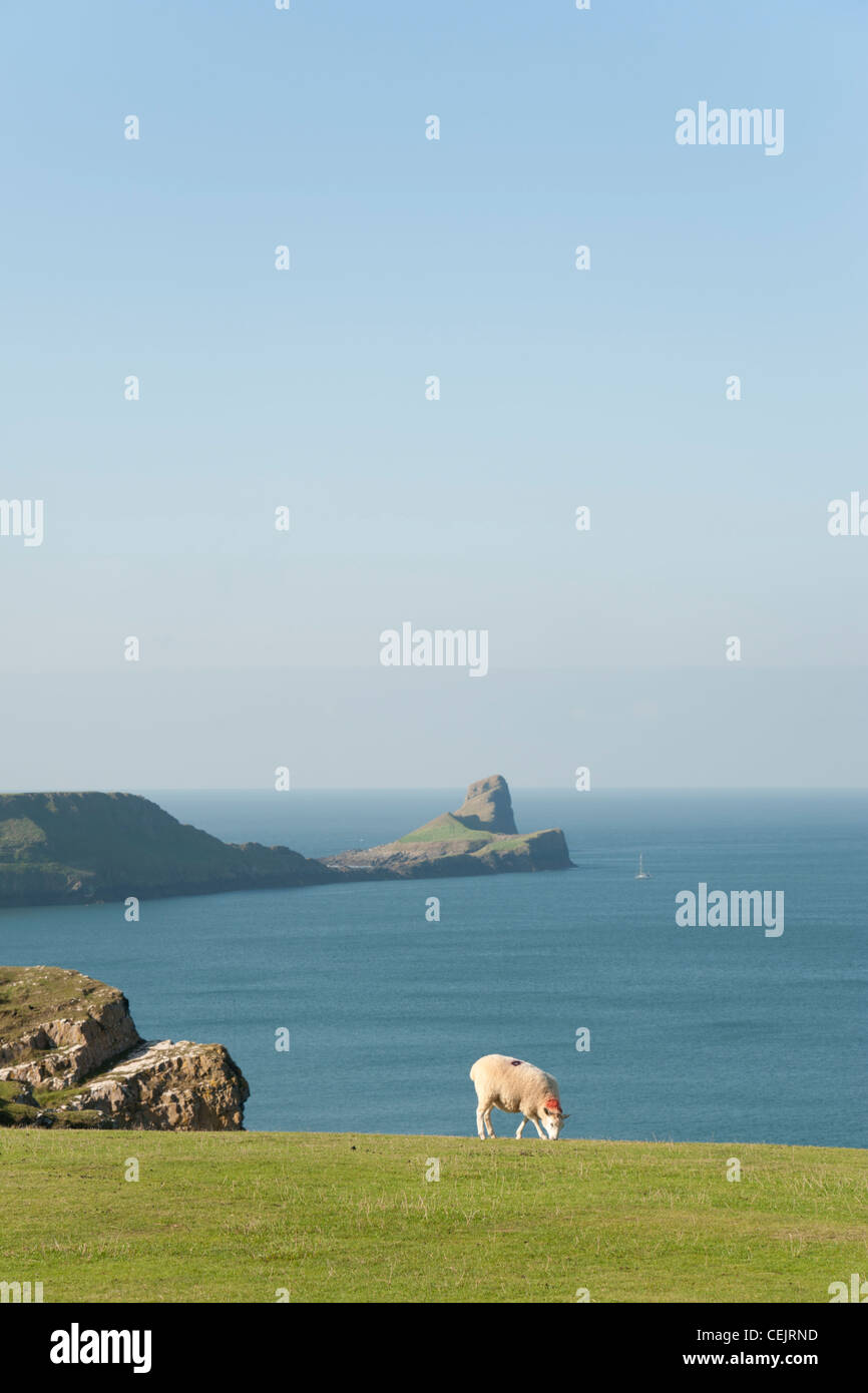 Worms head, Rhossili Bay, Gower Peninsula, South Wales Stock Photo