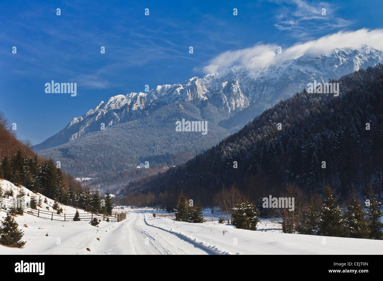 rustic road in winter Stock Photo - Alamy