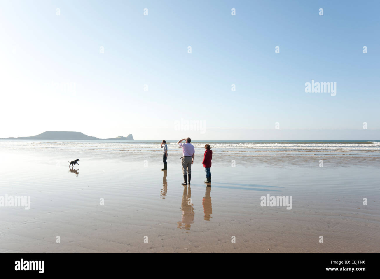 A family playing with their dog on the beach, Rhossili Bay, Gower Peninsula, South Wales Stock Photo