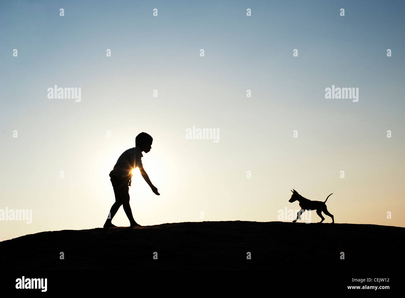 Silhouette of young Indian boy playing with his puppy. India Stock Photo