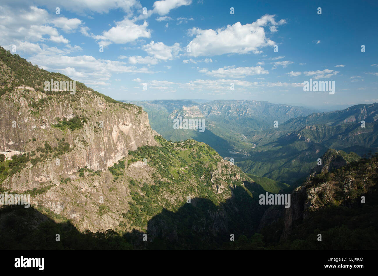 View of the Copper Canyon, Chihuahua, Mexico Stock Photo Alamy