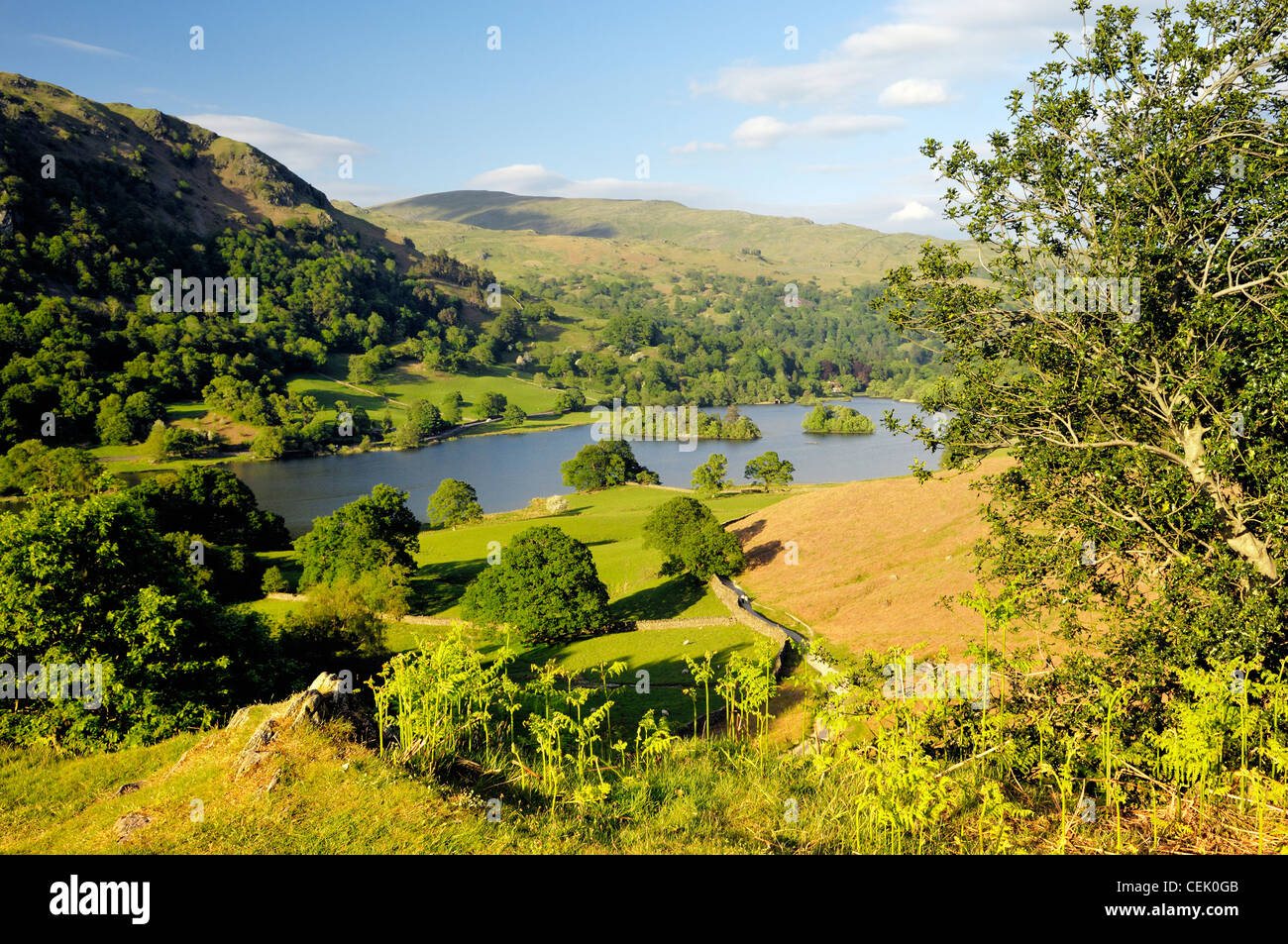 Lake District National Park, Ambleside, Cumbria, England. East over Rydal Water from Loughrigg Terrace. Summer Stock Photo