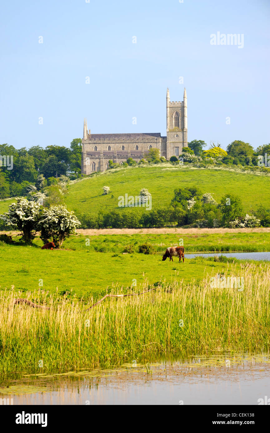 St. Patricks Cathedral, Downpatrick, County Down, Northern Ireland. Seen from Inch Abbey across the River Quoile Stock Photo