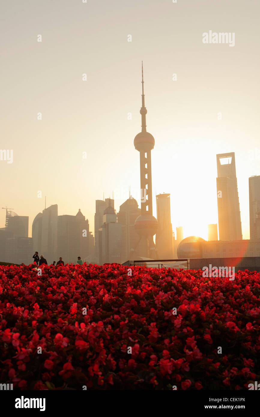 Shanghai skyline at sunrise with red flowers in foreground Stock Photo