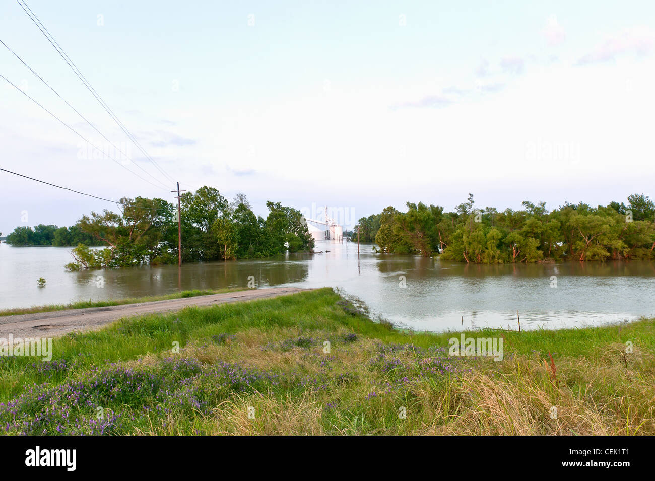 Agriculture Grain elevator flooded by the Mississippi River flood of
