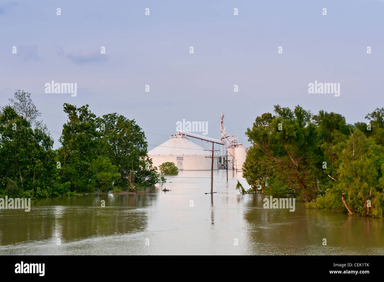 Agriculture Grain elevator flooded by the Mississippi River flood of