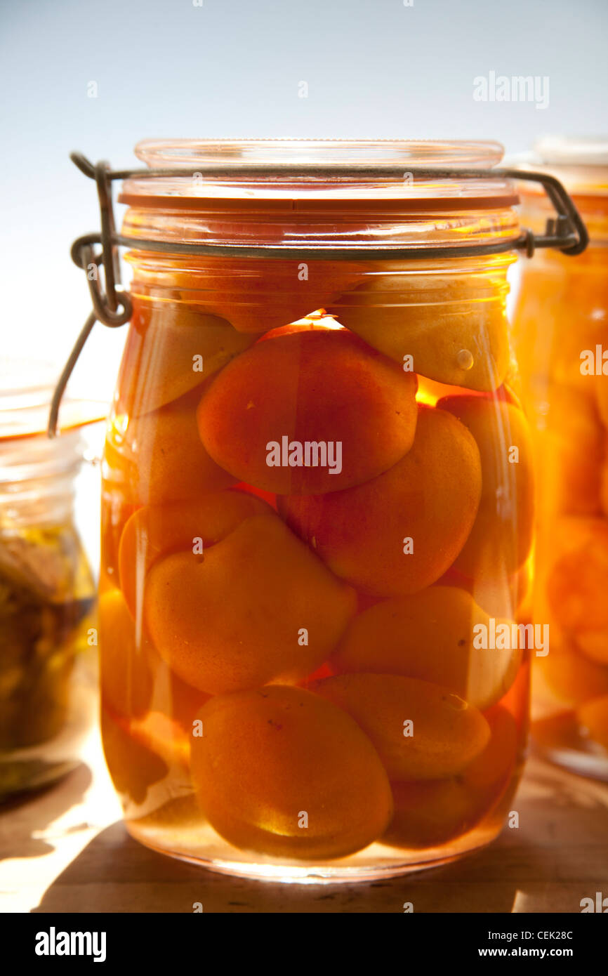 Apricots in jar Stock Photo