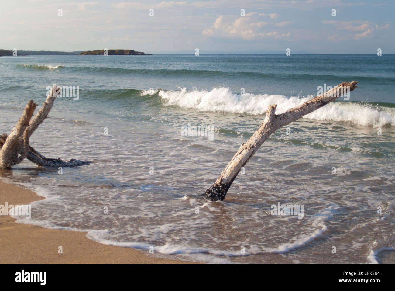 Log on beach sea hi-res stock photography and images - Alamy