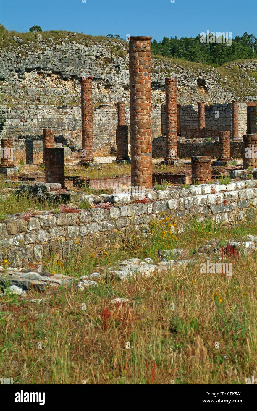 Conimbriga Roman Ruins, Coimbra, Beira Litoral, Portugal, the best