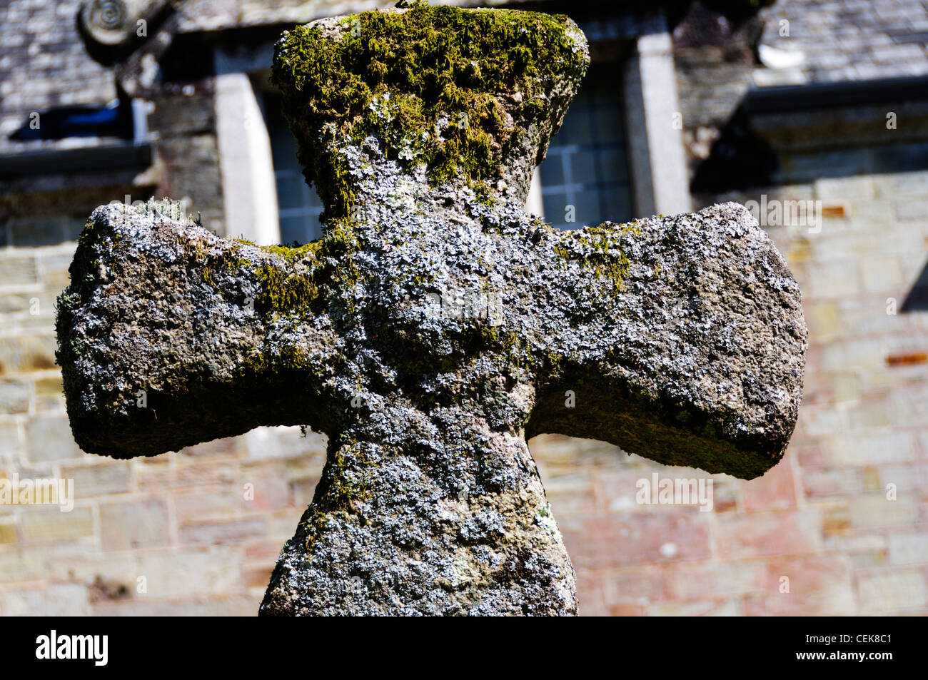 The head of a large celtic cross in the churchyard of St Hyderoc's church, Lanhydrock, Cornwall. Stock Photo