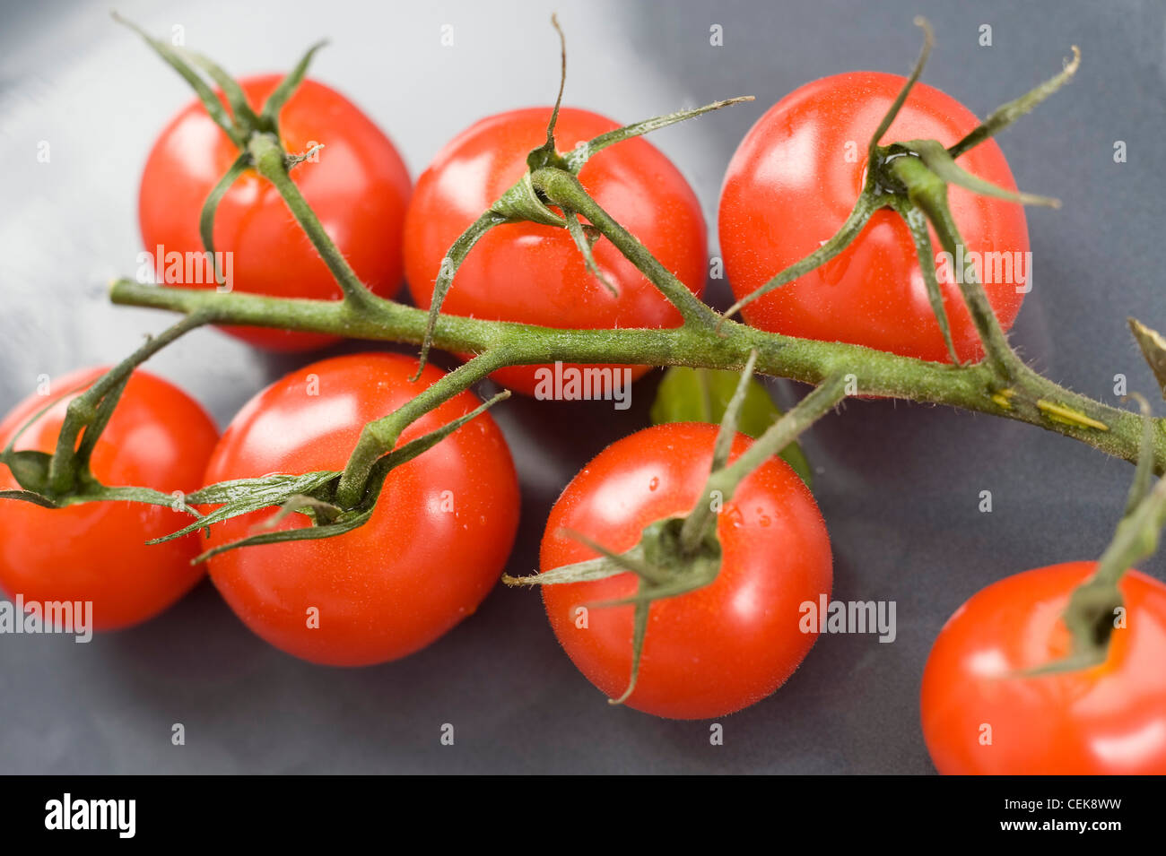 A still life image of a cherry tomatoes on the vine Stock Photo - Alamy