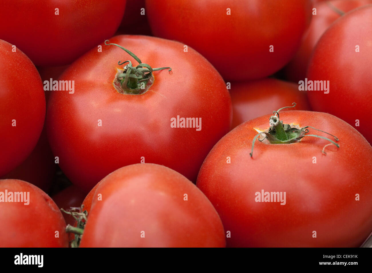 Juicy red tomatoes hi-res stock photography and images - Alamy