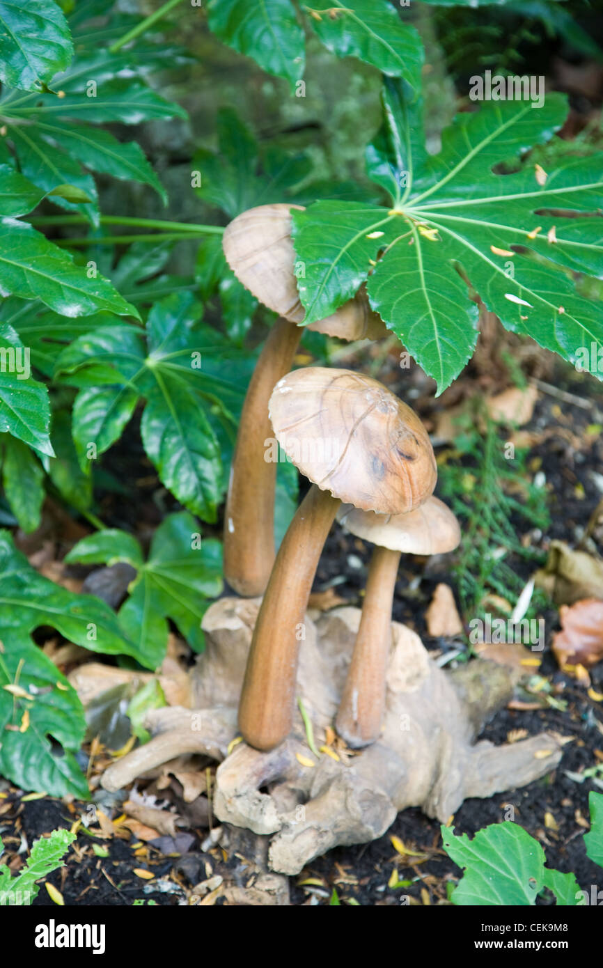 The Salutation Garden in Sandwich, Kent, England Autumn fungi in The Woodland Garden Stock Photo