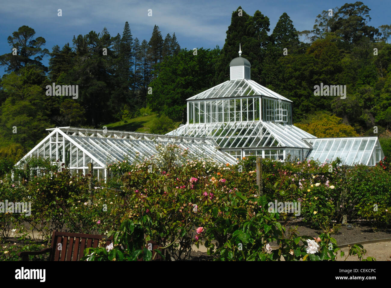 Greenhouses at the Dunedin Botanic Gardens, New Zealand Stock Photo Alamy