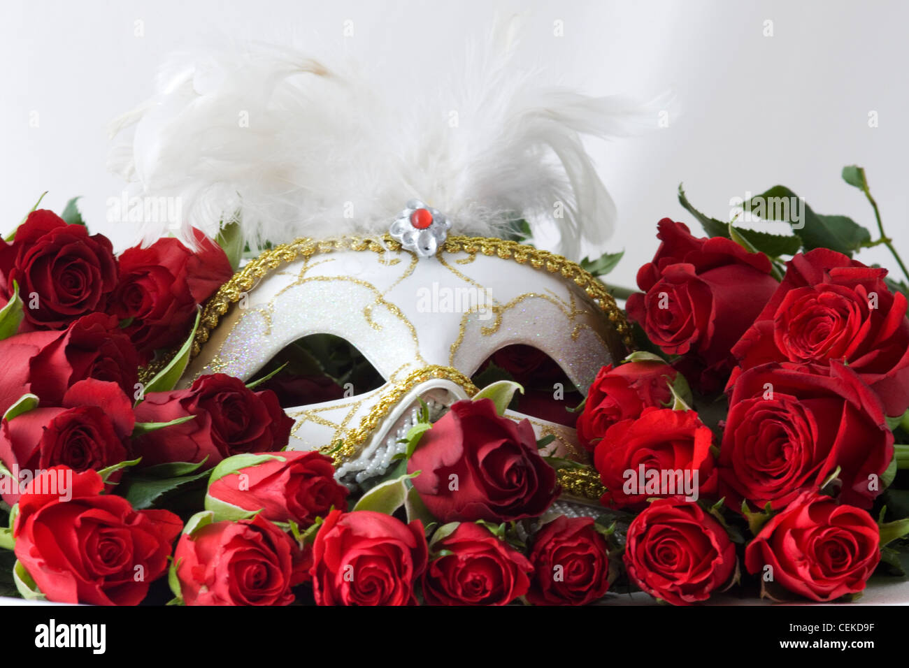 Venetian Carnival mask on a bed of red roses for valentines day Stock ...