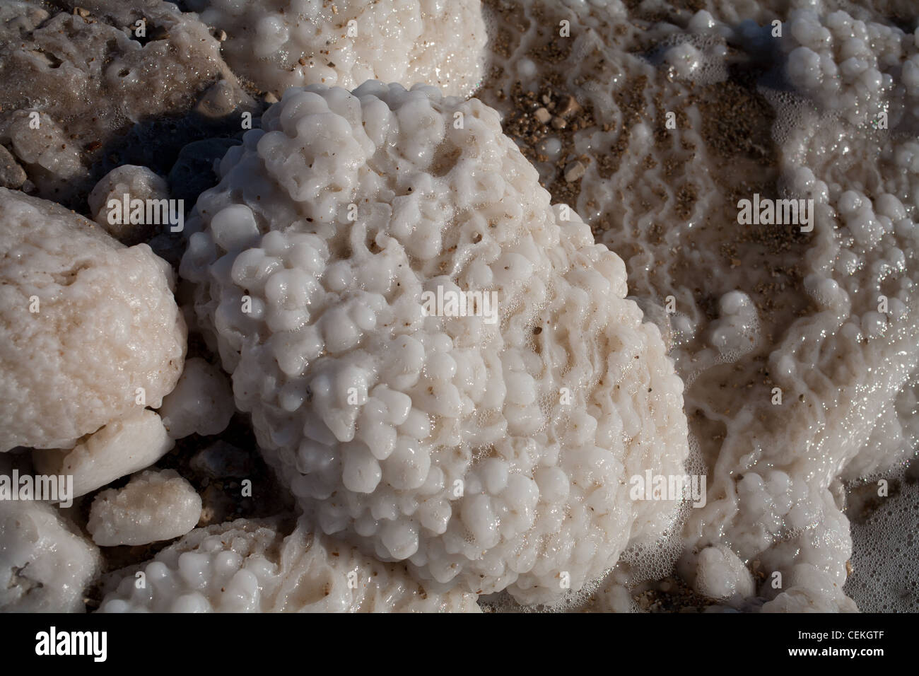 Middle East, Israel, Dead Sea Salt Stock Photo