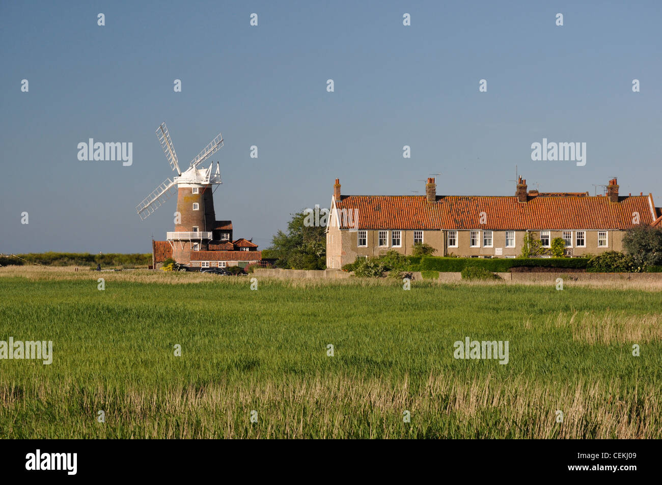 Cley Mill and reed beds, Norfolk, England, UK Stock Photo