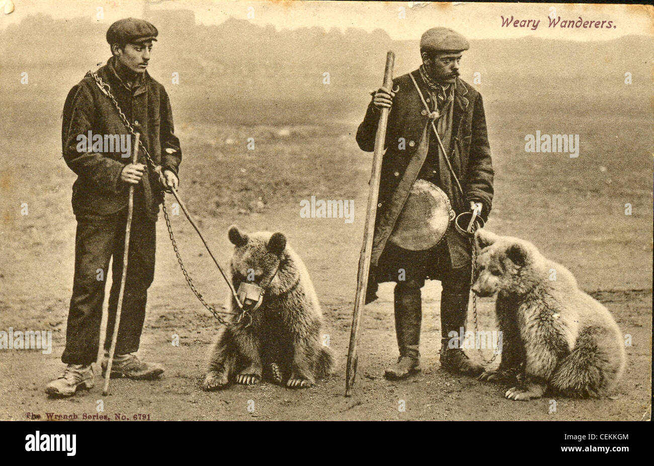 postcard-of-dancing-bears-with-trainers-stock-photo-alamy