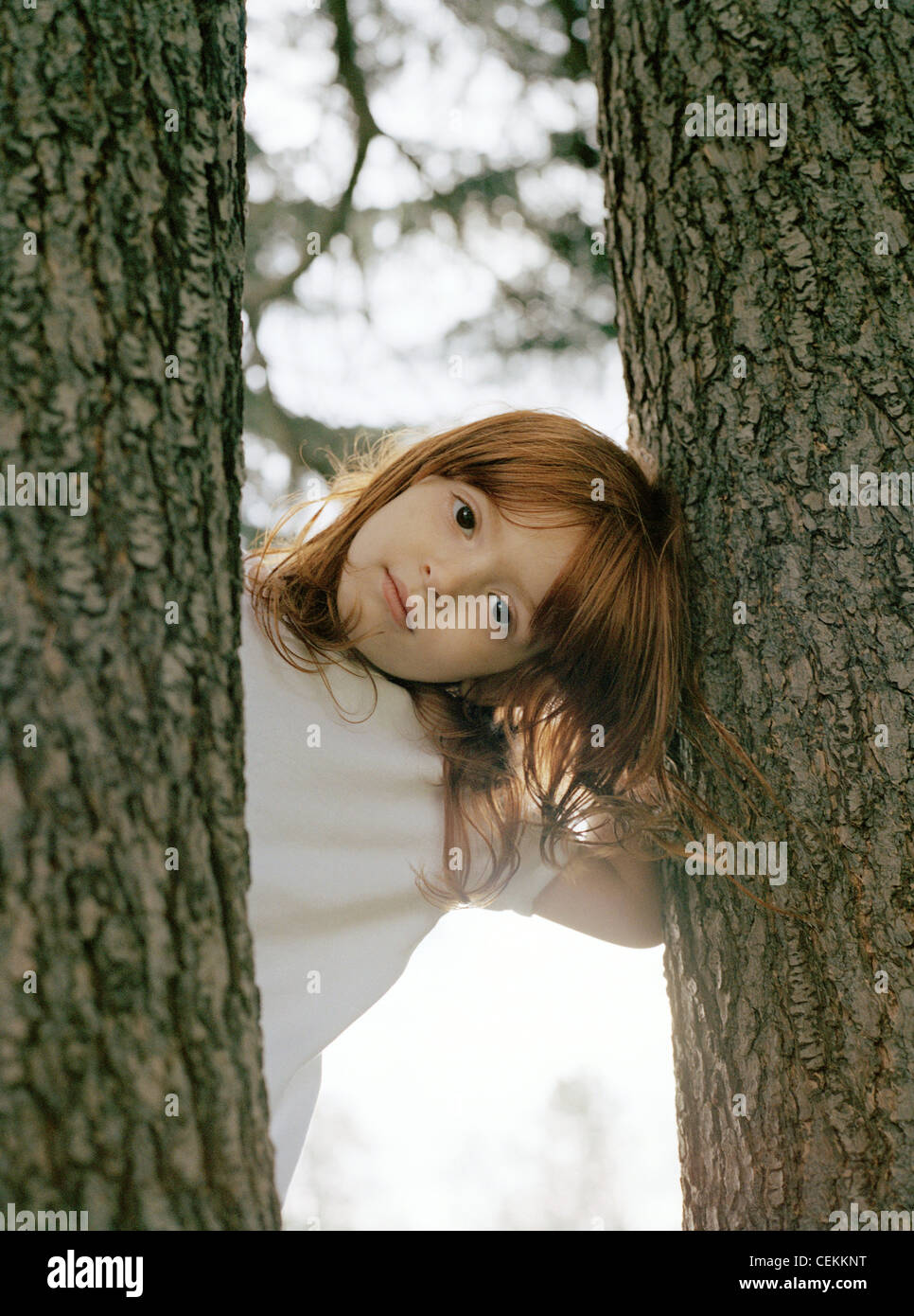 Lay Against Tree Female leaning against tree hi-res stock photography and images - Alamy