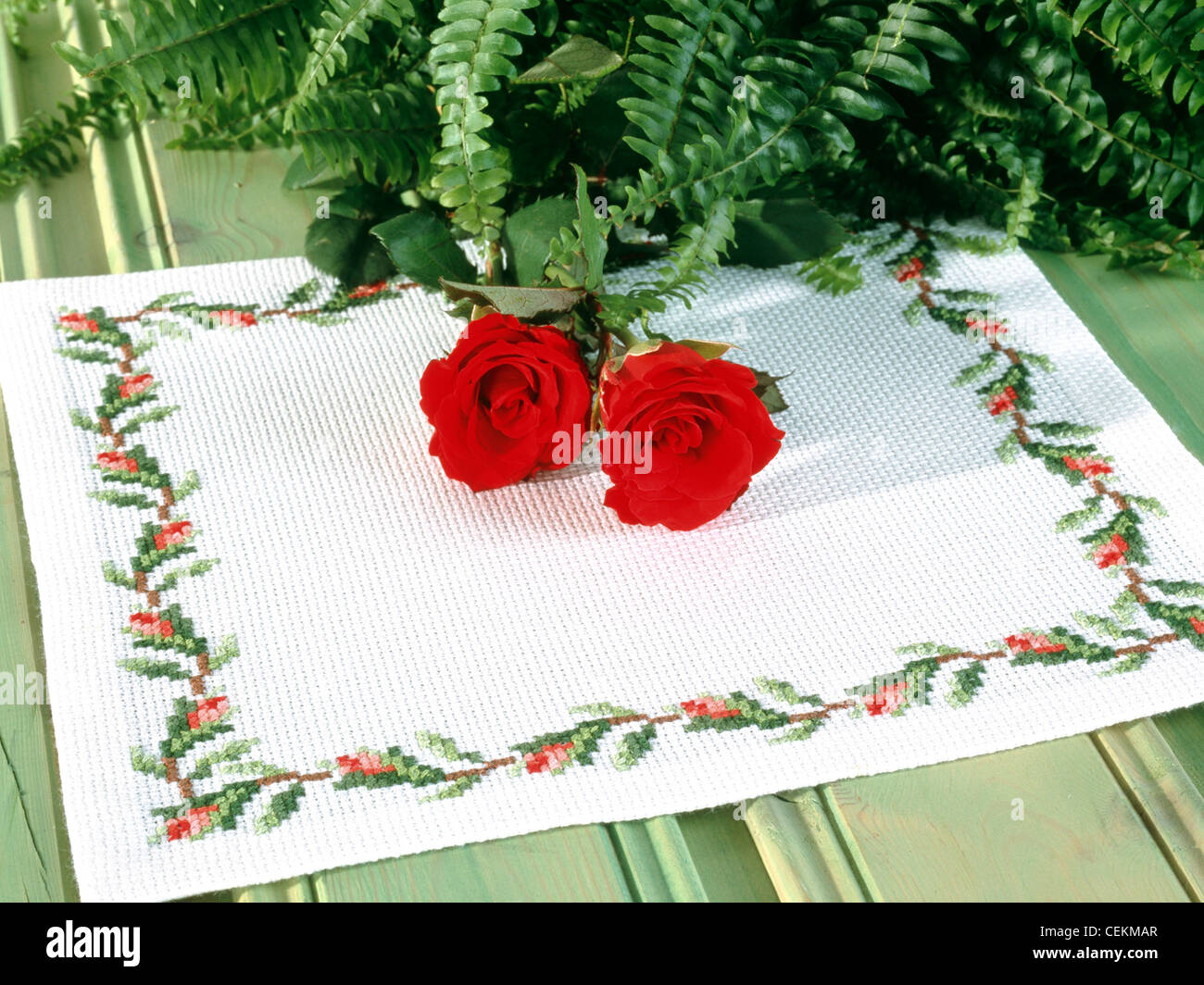 Delightful Roses The Most Romantic Flower Of All Is Of Course The Rose Pink Rosebuds And Red Roses In Full Bloom Become Stock Photo Alamy