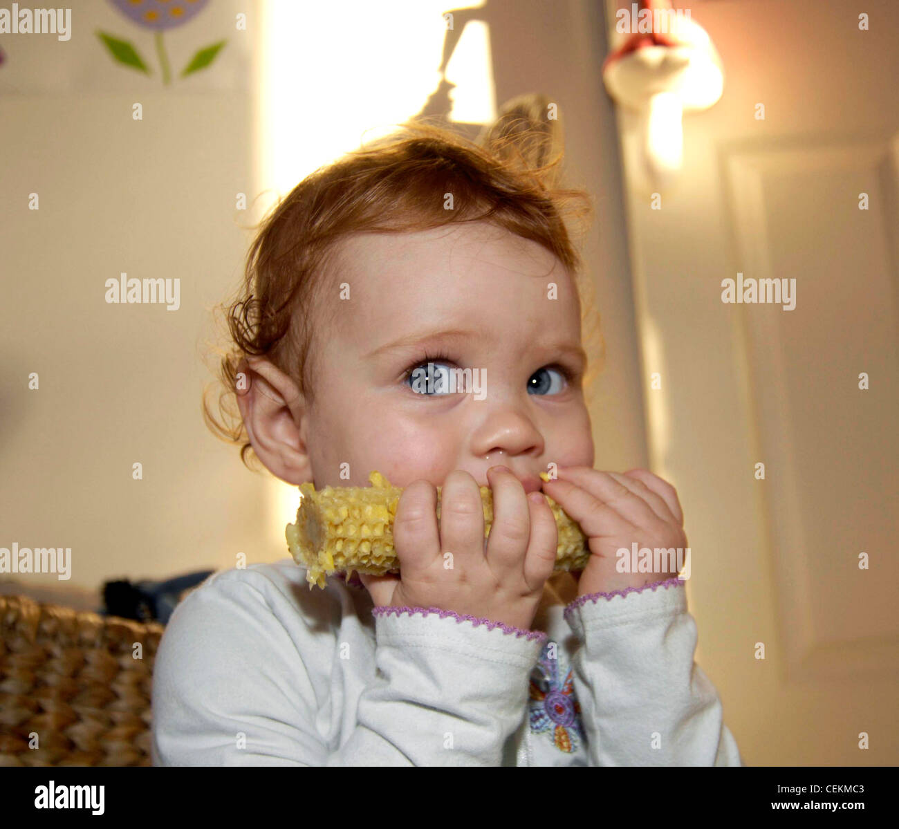 Toddler eating corn on the cob Stock Photo Alamy
