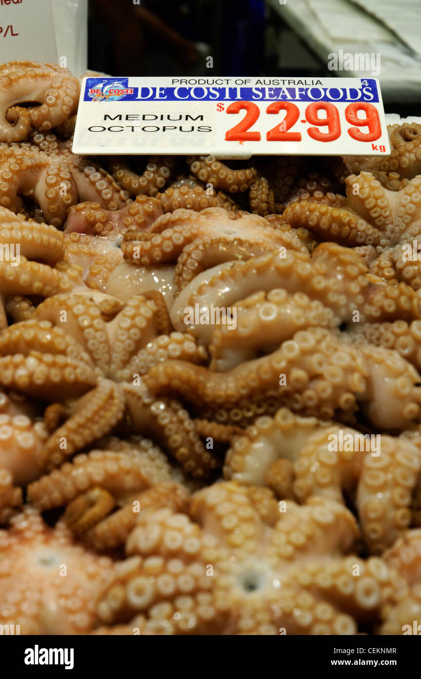 Fresh seafood produce in Sydney Fish Market in Sydney Australia Stock