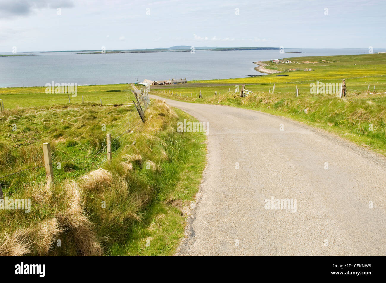 Crofting landscape on the west side of the island of Eday, Orkney Islands, Scotland. Stock Photo
