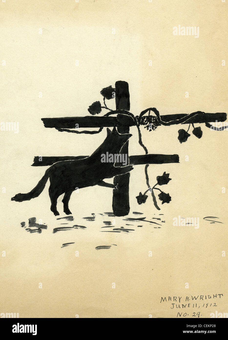 india ink drawing of barking dog along fence with flowers american art mary wright artist 1912 indiana midwest 1900s Americana Stock Photo