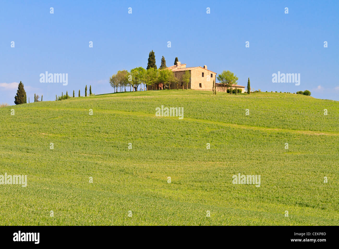 Picturesque tuscan farm house before blue sky, Italy Stock Photo - Alamy