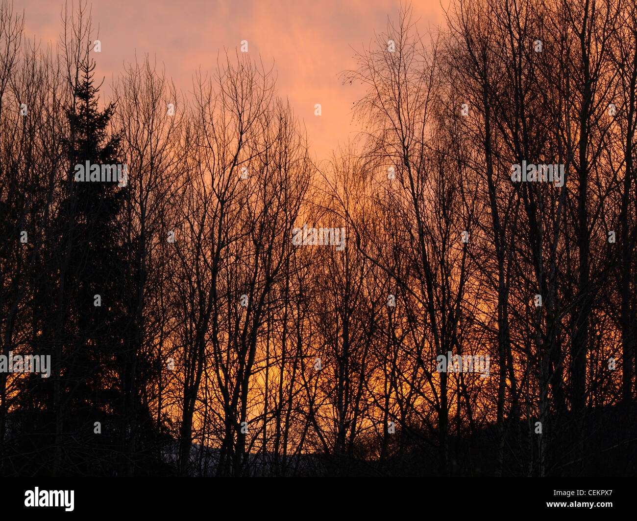 sunrise / Sonnenaufgang Stock Photo