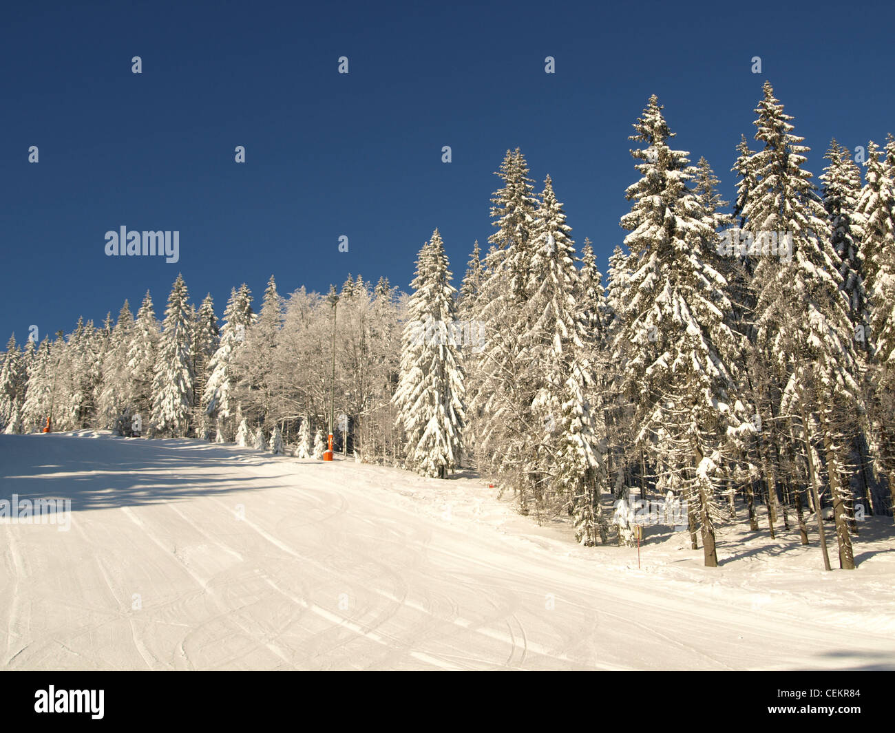 prepared ski run / präprierte Skipiste Stock Photo