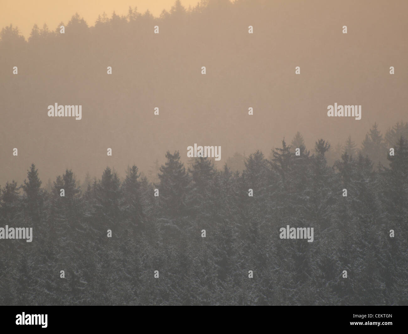 sunrise with morning fog over forest, Bavarian Forest, Germany / Sonnenaufgang mit Morgennebel über Wald, Bayerischer Wald Stock Photo