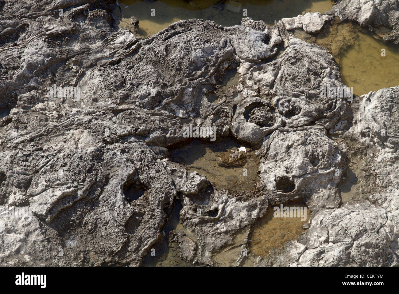 Rocks pattern detail on shore sea Mediterranean Stock Photo - Alamy