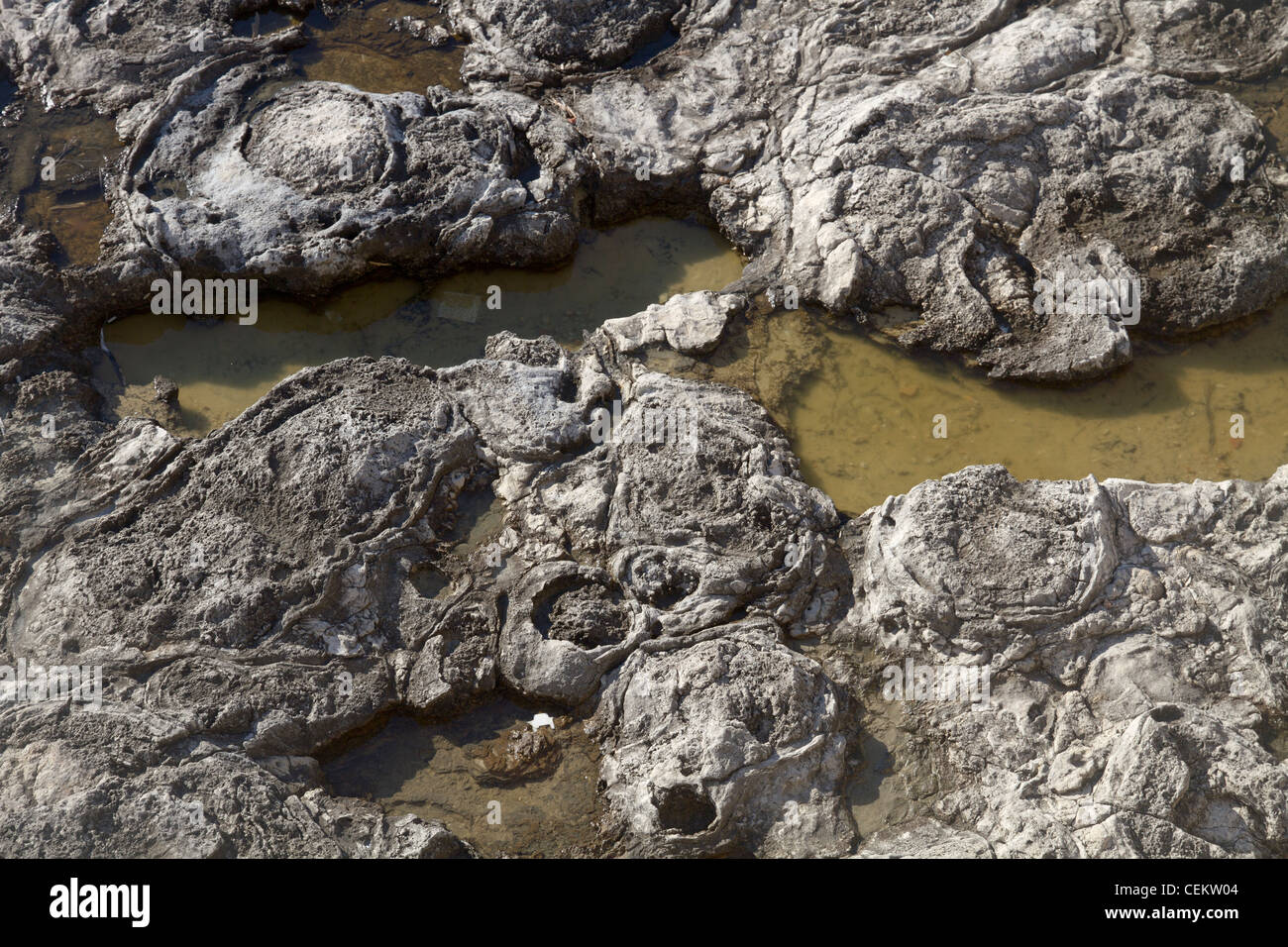 Rocks pattern detail on shore sea Mediterranean Stock Photo - Alamy