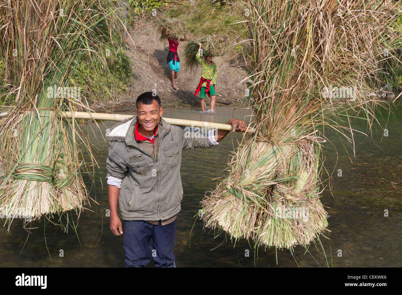 People crossing river grass cutting season Bardia national park Nepal Asia Stock Photo