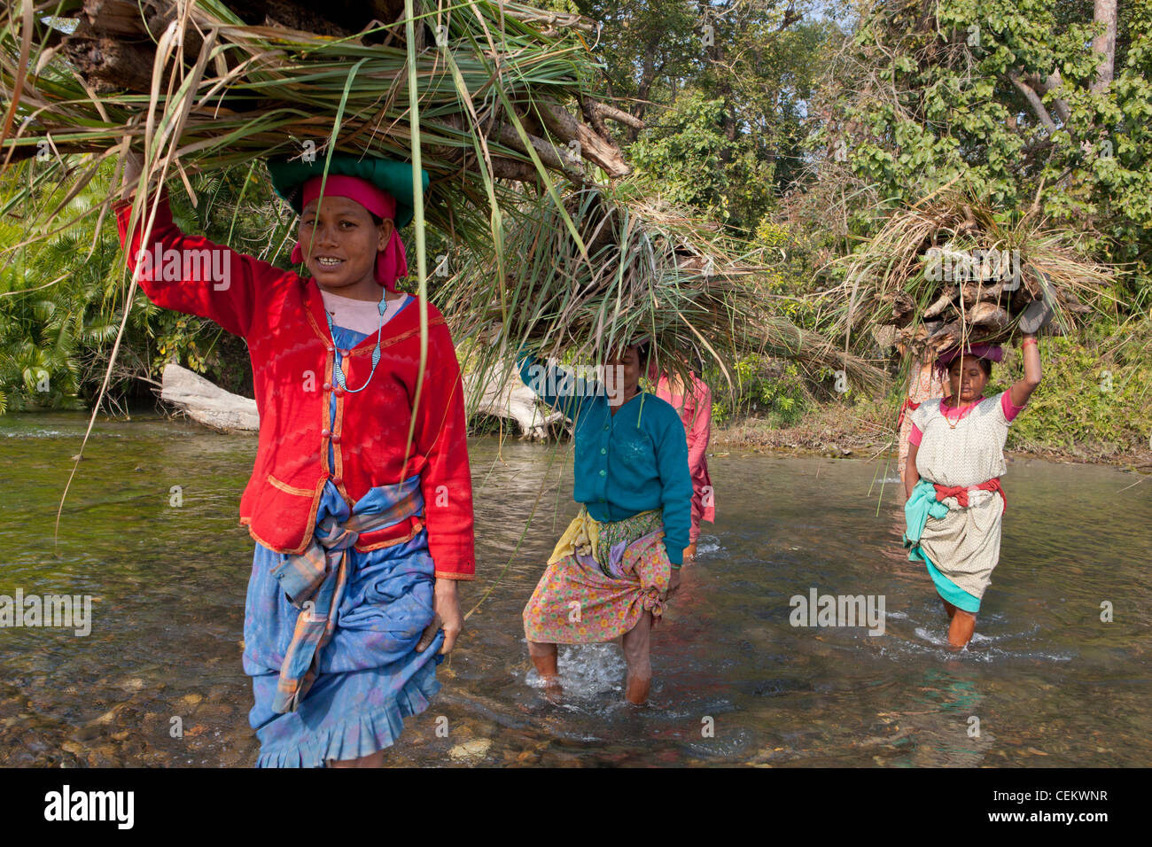 Women crossing river grass cutting season Bardia national park Nepal Asia Stock Photo