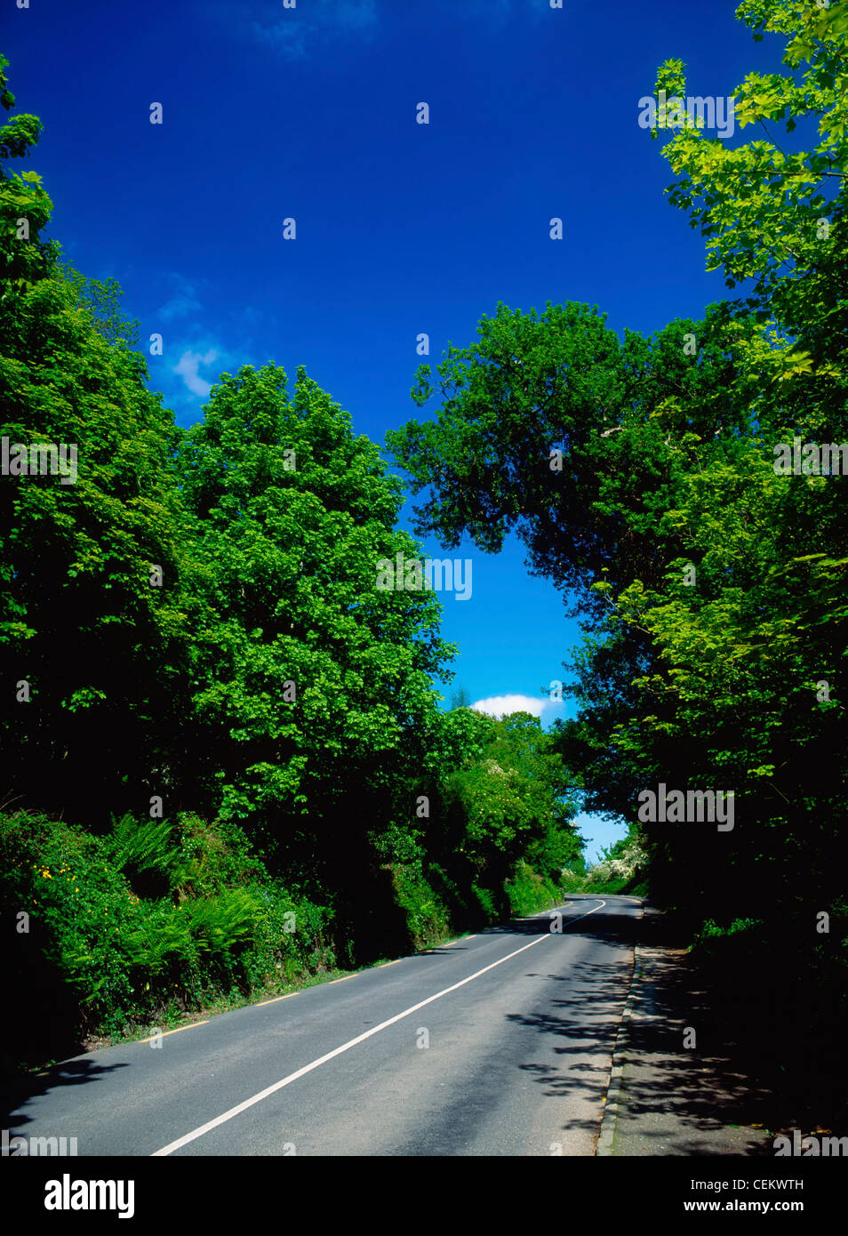 Road In The West Shore, Lough Swilly, Ireland Stock Photo