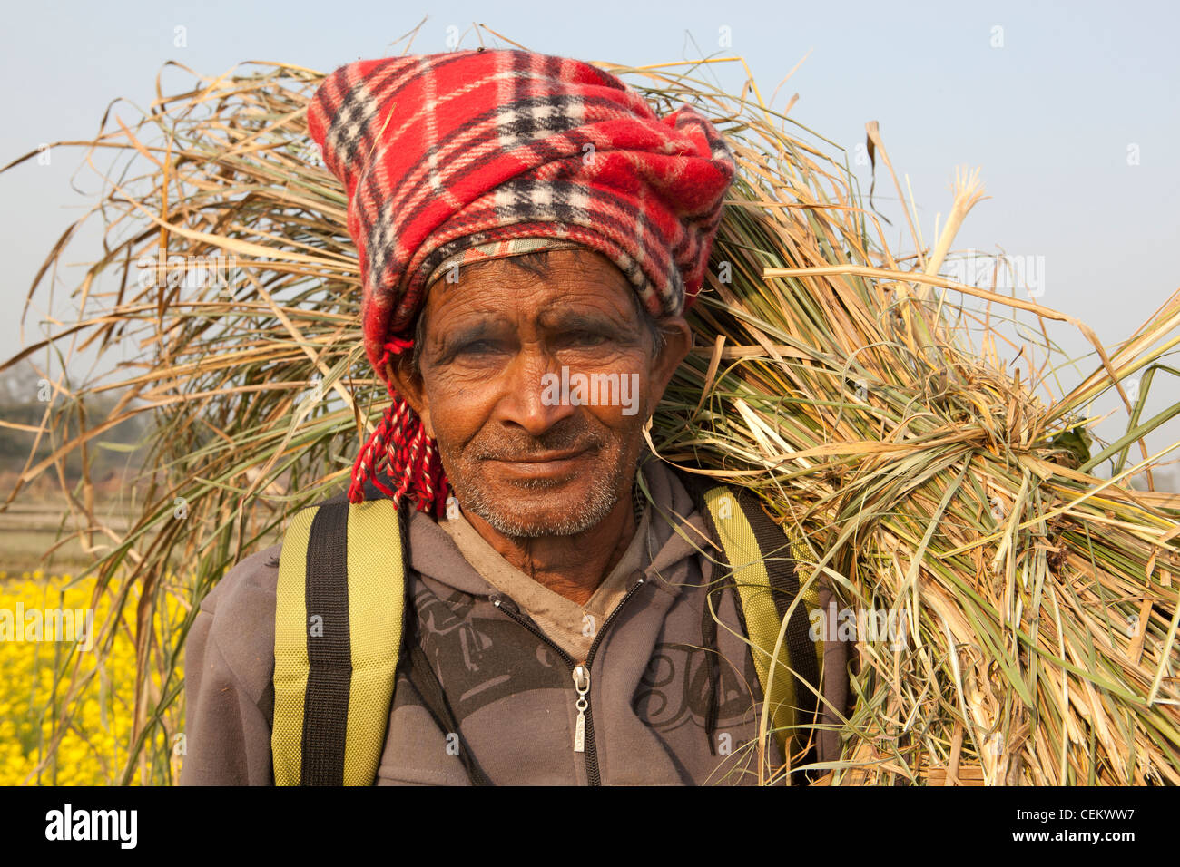 Man portrait grass cutting season Bardia national park Nepal Asia Stock Photo
