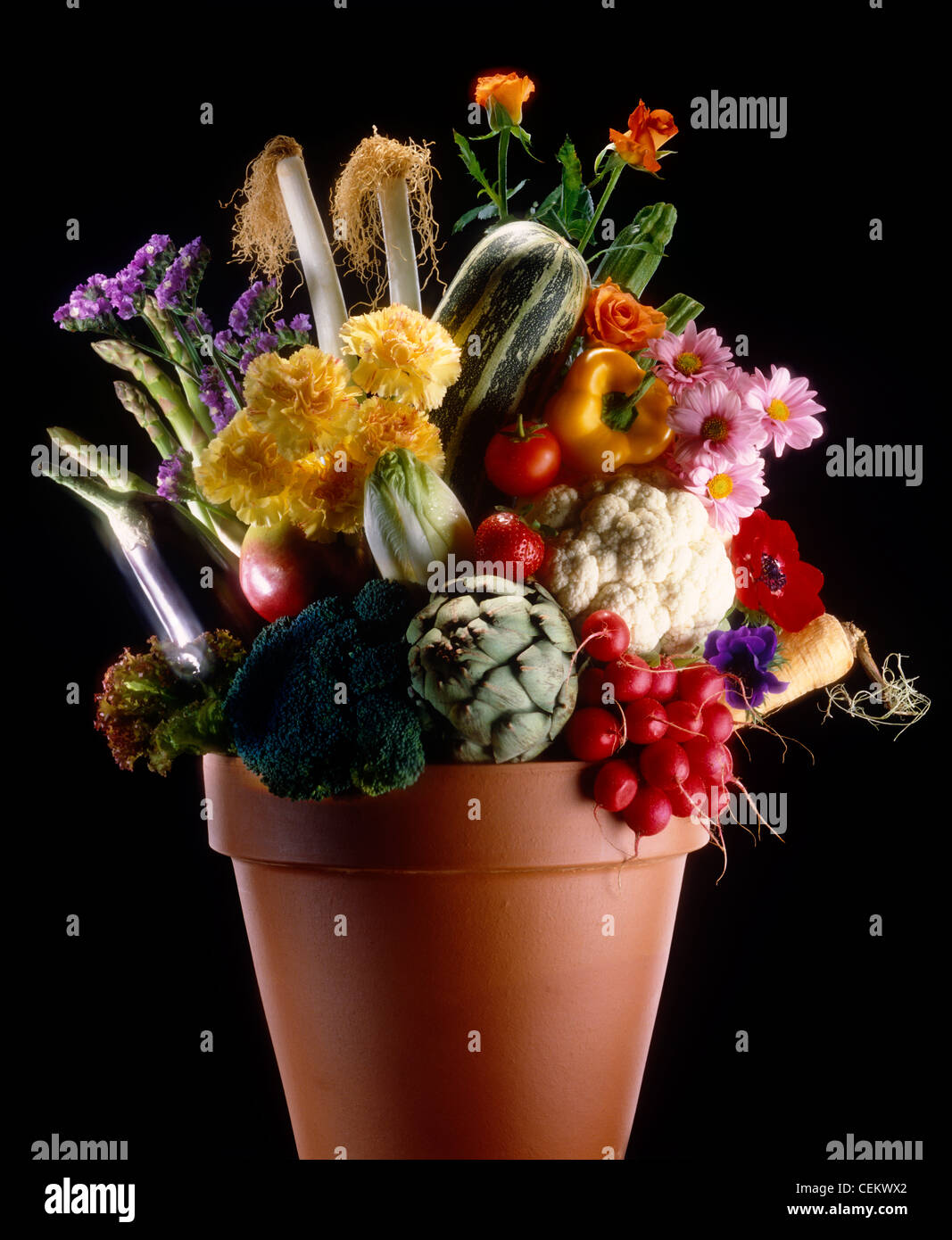Still life of flowers, fruit and vegetables in a terracotta plant pot