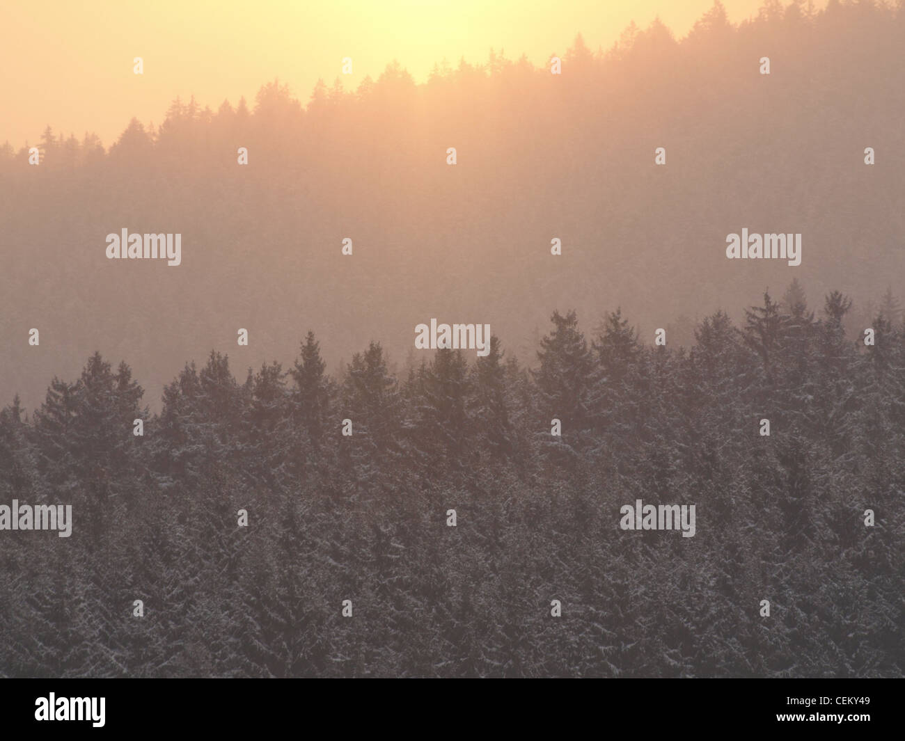 sunrise with morning fog over forest, Bavarian Forest, Germany / Sonnenaufgang mit Morgennebel über Wald, Bayerischer Wald Stock Photo