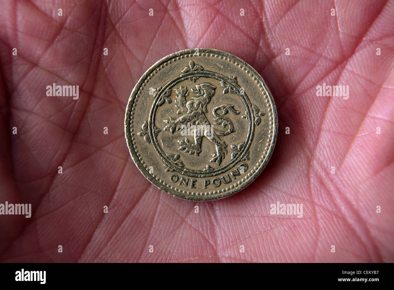 UK pound coin in the palm of a hand. Stock Photo