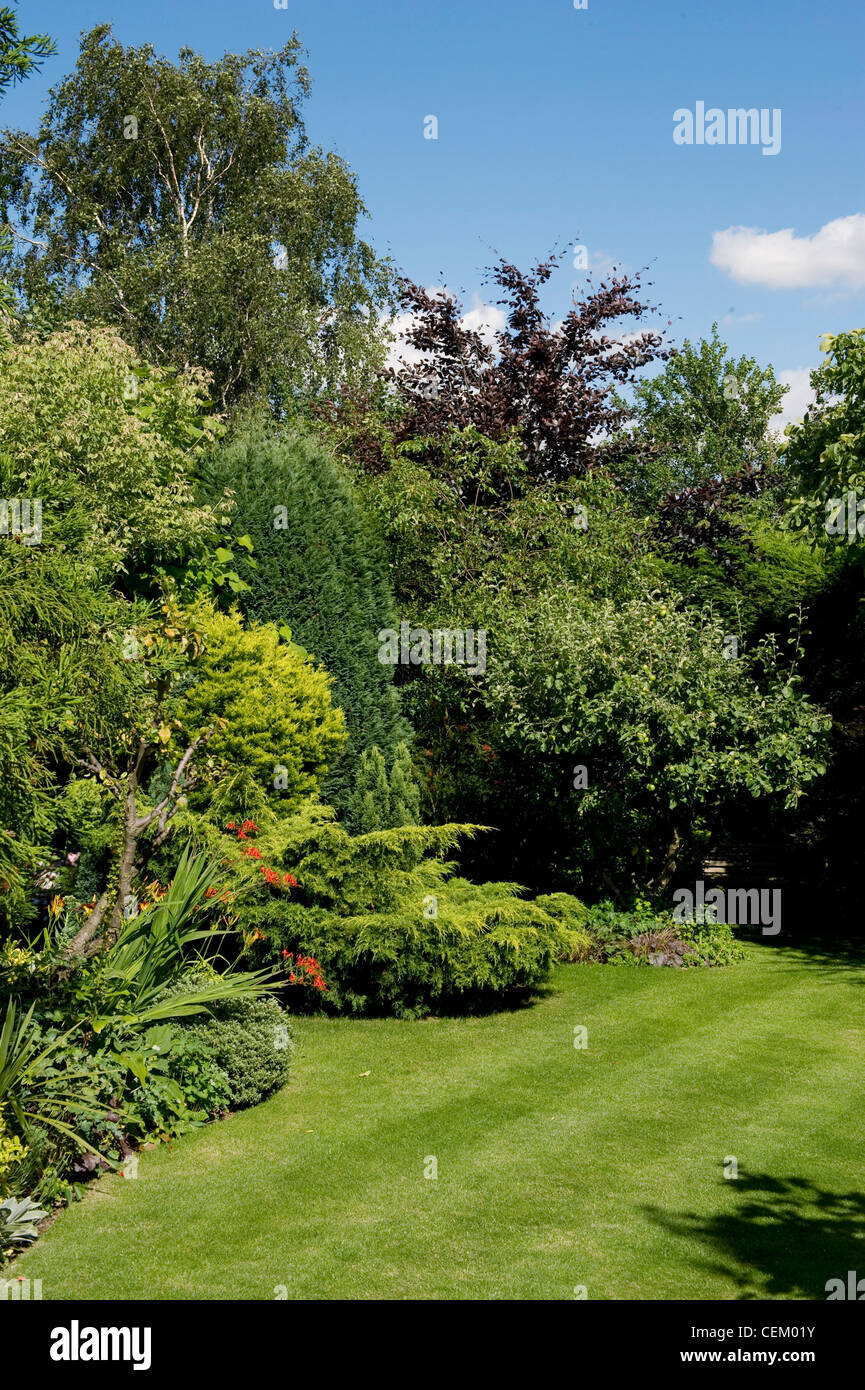 Natures path John Vale and Barbara Gilberts garden in Epping A view of the garden various trees and a neat lawn curved beds Stock Photo
